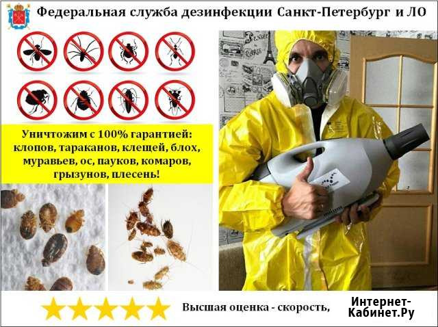 Уничтожение клопов, тараканов, клещей, насекомых Подпорожье - изображение 1
