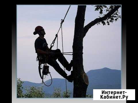Удаление деревьев Киров - изображение 1