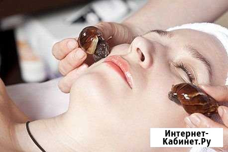 Улиткотерапия африканскими улитками (Ахатина) Красногорск - изображение 1