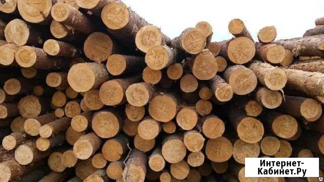 Лес кругляк Белоозёрский - изображение 1