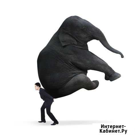 Грузчики Рязань - изображение 1