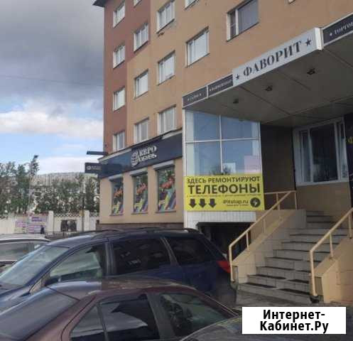 Срочный ремонт телефонов в день обращения Мурманск - изображение 1