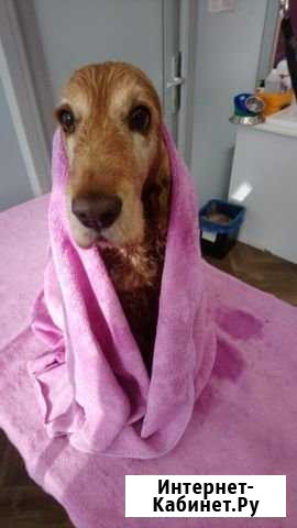 Грумсалон «Top-Groom Краснодар - изображение 1