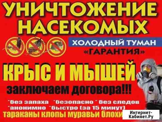 Уничтожение клопов, тараканов, блох, муравьев Екатеринбург
