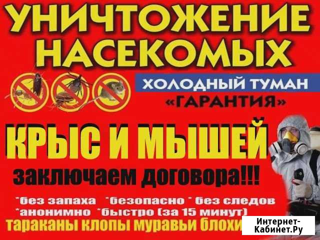 Уничтожение клопов, тараканов, блох, муравьев Екатеринбург - изображение 1