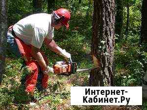 Спил, распил, вывоз деревьев Лиски