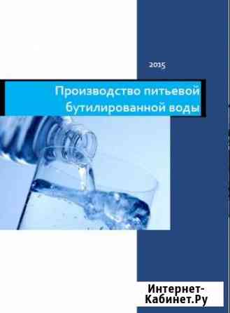 Бизнес-план для инвестора Санкт-Петербург