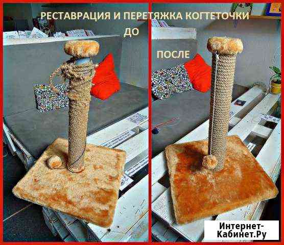 Когтеточки Ростов-на-Дону