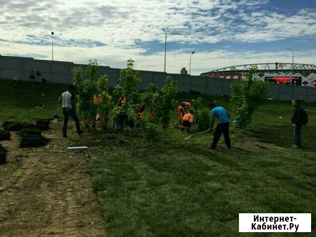 Подобные рабочие Тверь - изображение 1