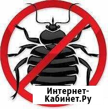 Эффективно травим тараканов, клопов Волгодонск - изображение 1