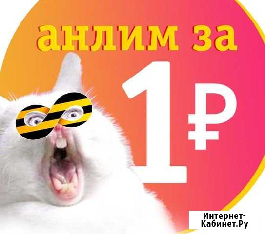 Домашний интернет за 1руб в сутки Москва - изображение 1