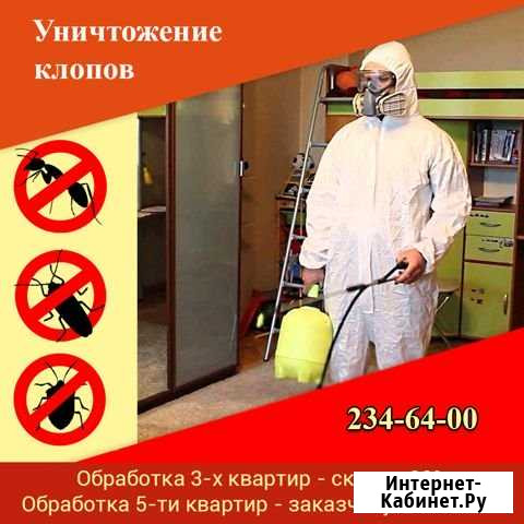 Уничтожение клопов, тараканов, запахов, плесени Пермь - изображение 1