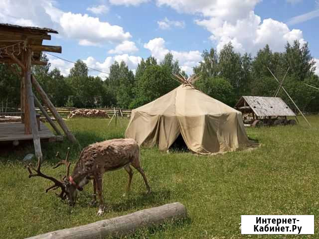 Шьем накидки, полога,чехлы Сергиев Посад - изображение 1