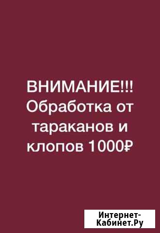 Уничтожение тараканов, клопов, плесени, клещей Краснодар - изображение 1