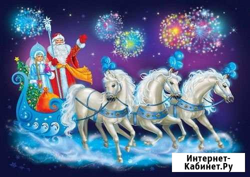 Добрый Дедушка Мороз и Снегурочка на дом Хабаровск - изображение 1