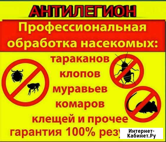 Дезинфекционная деятельность Миасс - изображение 1
