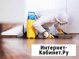 Уничтожение всех видов насекомых Кемерово - изображение 1