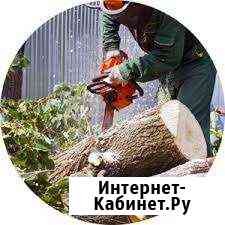 Спил и обрезка деревьев,корчевание пней,вывоз Таганрог