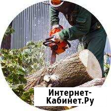 Спил и обрезка деревьев,корчевание пней,вывоз Таганрог - изображение 1