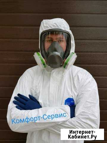 Уничтожение насекомых Брянске и области Брянск - изображение 1