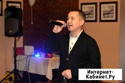 Тамада, музыка, лазер, дым, мыльные пузыри Катайск - изображение 1