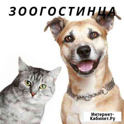 Зоогостиница / передержка Москва