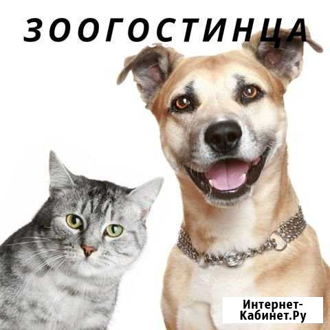 Зоогостиница / передержка Москва - изображение 1