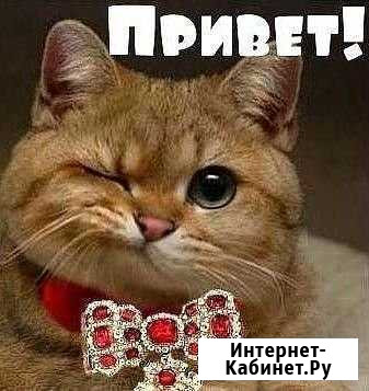 Передержка в домашних условиях на время вашего отп Пермь - изображение 1