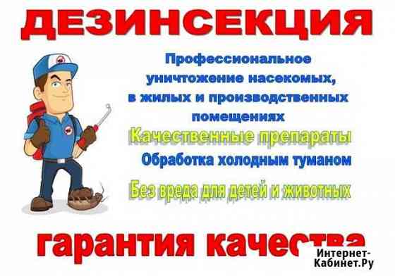 Дезинсекция Томск