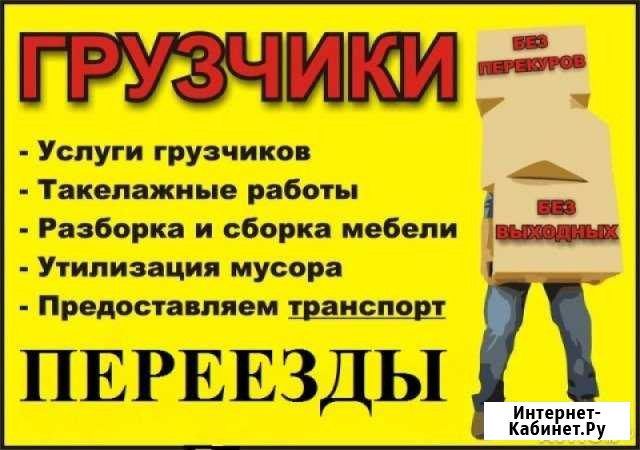 Опытные грузчики. Переезды. Вывоз мусора. Газель Тольятти - изображение 1