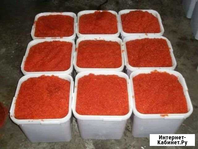 Икра красная лучшего качества Норильск - изображение 1