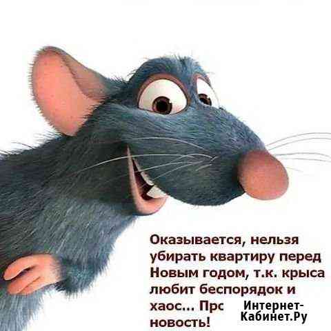 Дед Мороз и Снегурочка в Ступино и Кашире Ступино