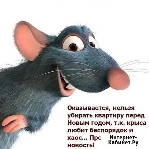 Дед Мороз и Снегурочка в Ступино и Кашире Ступино - изображение 1