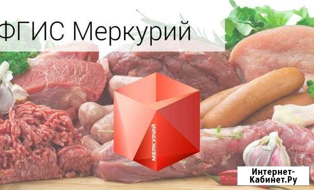 Регистрация и обслуживание фгис Меркурий Елизаветинское - изображение 1