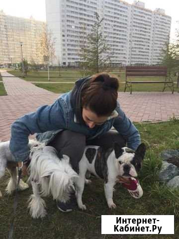 Передержка собак Новосибирск - изображение 1