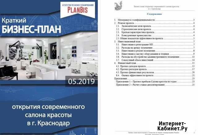 Бизнес-план с гарантией для банка, инвестора,себя Рязань - изображение 1