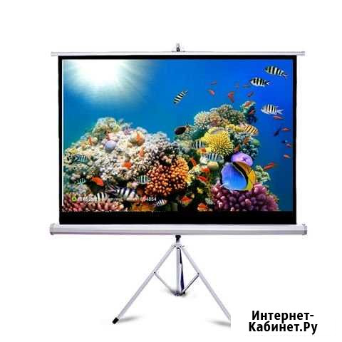 Аренда проектора Acer 1250. Матовый экран 180х180 Ростов-на-Дону - изображение 1