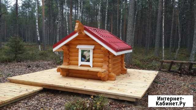 Срубы из архангельского леса Архангельск - изображение 1