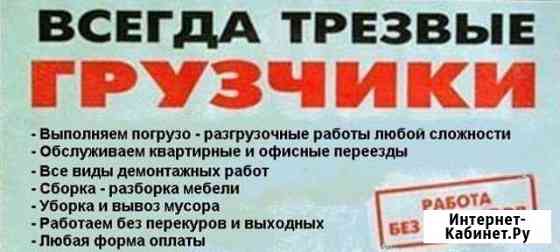 Бригада опытных грузчиков выполнит Санкт-Петербург