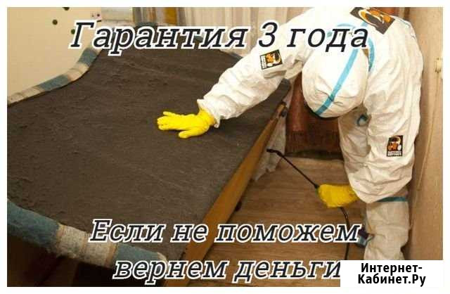 Уничтожение клопов, тараканов, блох, ос, обработка Королев - изображение 1