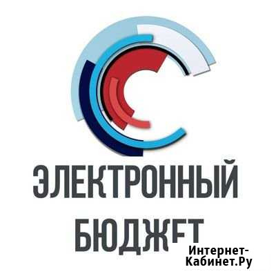 Настройка Электронного бюджета Санкт-Петербург - изображение 1