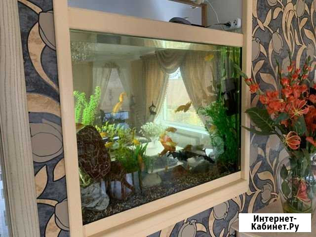 Чистка аквариумов Ижевск - изображение 1