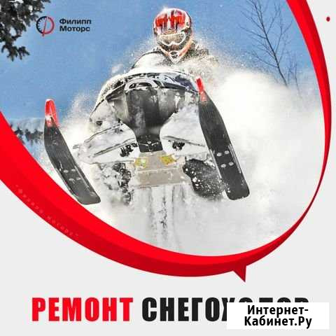 Профессиональный ремонт снегоходов Омск - изображение 1