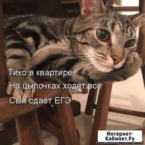 Репетитор канд наук физика математика информатика Саратов - изображение 1