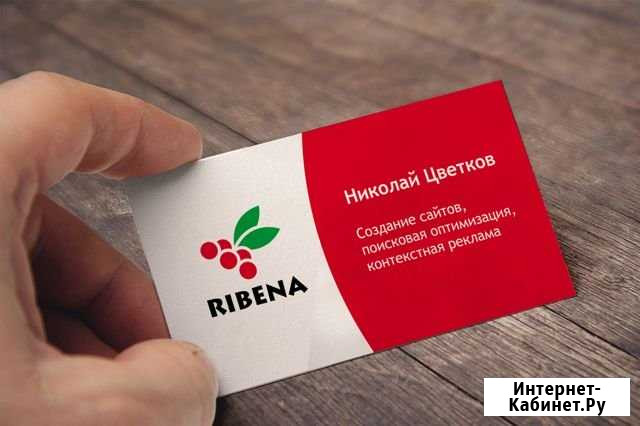 Создание сайтов и их продвижение Владимир - изображение 1