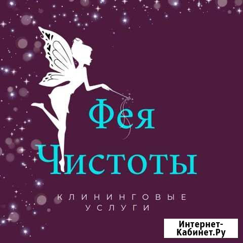 Фея Чистоты Костомукша - изображение 1