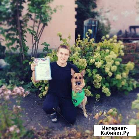 Дрессировка собак Воронеж - изображение 1