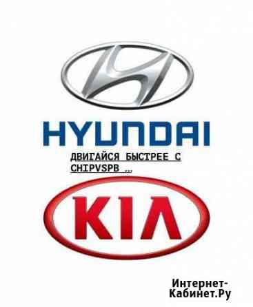 Чип тюнинг Hyundai, Kia Санкт-Петербург