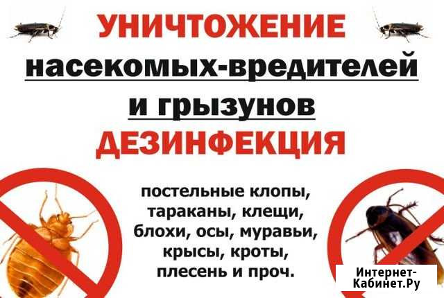 Уничтожение насекомых и грызунов дезинсекция Самара - изображение 1