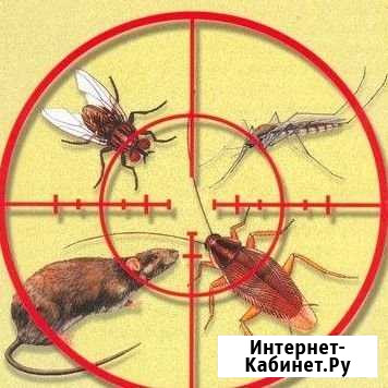 Дезинсекция дератизация Севастополь - изображение 1